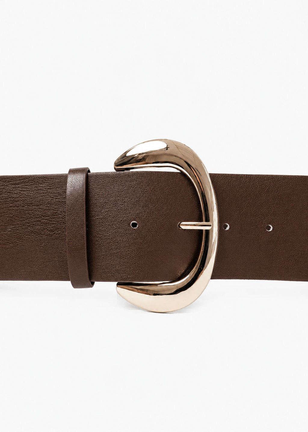 Leni Wide Belt, Choc/Gold